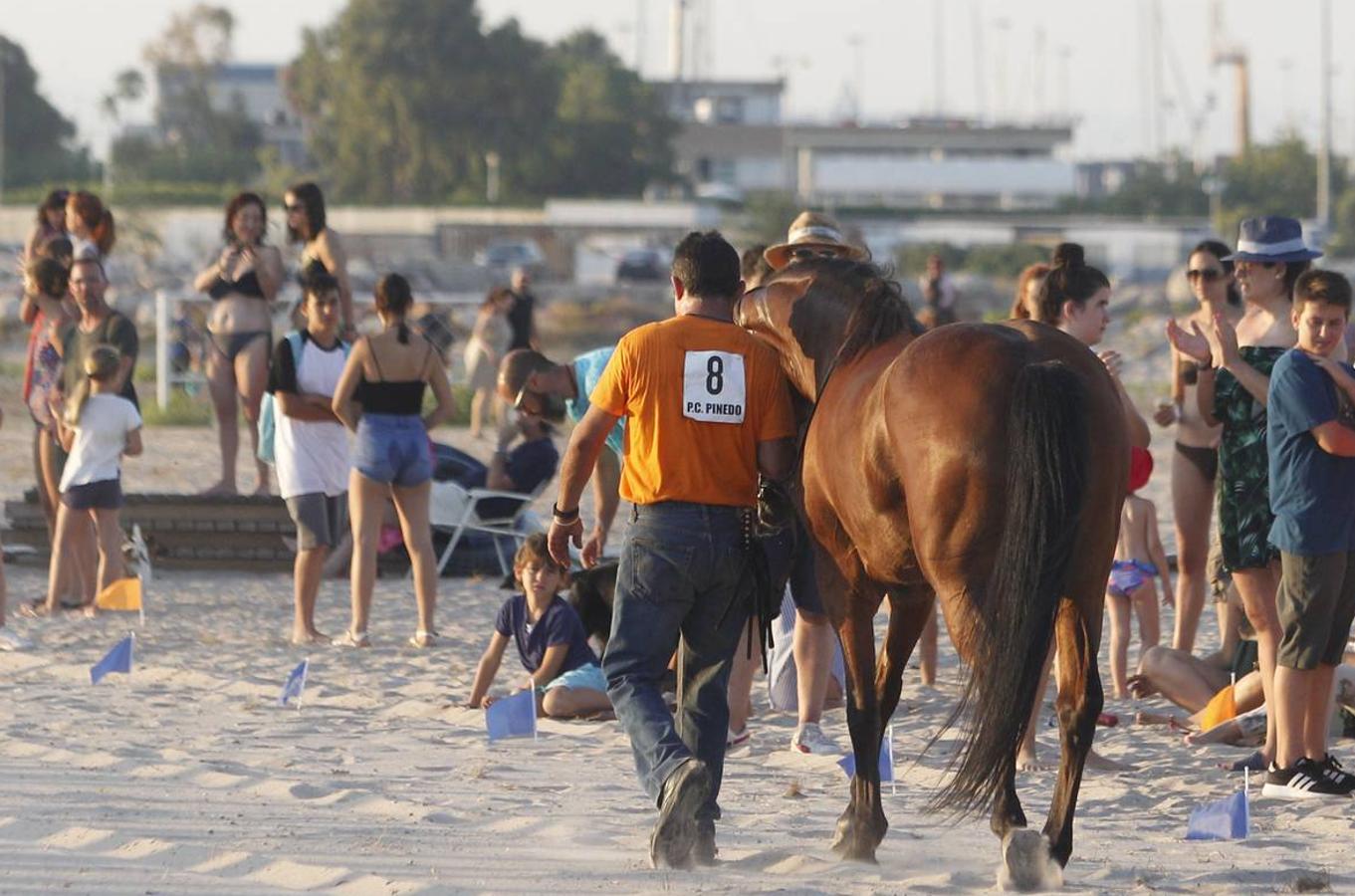 Como cada año desde hace más de dos siglos, este miércoles se celebró la carrera final de uno de los espectáculos con más historia que completan el calendario de fiestas de Pinedo. La exhibición se desarrolló entre las 20 y las 22 horas junto a la playa canina. Este año, la exhibición ha estado compuesta por ocho jinetes de diferentes poblaciones, entre otros Vera Piquer, Empar Zumalde y Pepe Piquer con cuadras de Beniparrell, Albal i El Perellonet. Por segundo año consecutivo, esta fiesta ha sido incorporada a la Feria de Julio, lo que incrementa el ambiente