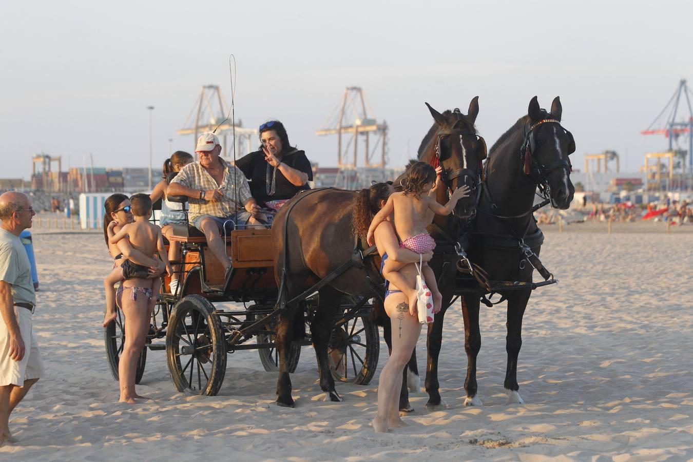 Como cada año desde hace más de dos siglos, este miércoles se celebró la carrera final de uno de los espectáculos con más historia que completan el calendario de fiestas de Pinedo. La exhibición se desarrolló entre las 20 y las 22 horas junto a la playa canina. Este año, la exhibición ha estado compuesta por ocho jinetes de diferentes poblaciones, entre otros Vera Piquer, Empar Zumalde y Pepe Piquer con cuadras de Beniparrell, Albal i El Perellonet. Por segundo año consecutivo, esta fiesta ha sido incorporada a la Feria de Julio, lo que incrementa el ambiente