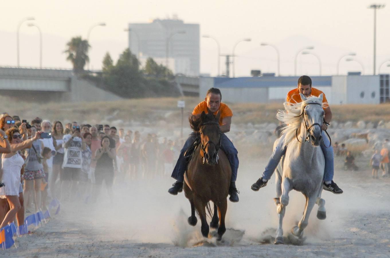 Como cada año desde hace más de dos siglos, este miércoles se celebró la carrera final de uno de los espectáculos con más historia que completan el calendario de fiestas de Pinedo. La exhibición se desarrolló entre las 20 y las 22 horas junto a la playa canina. Este año, la exhibición ha estado compuesta por ocho jinetes de diferentes poblaciones, entre otros Vera Piquer, Empar Zumalde y Pepe Piquer con cuadras de Beniparrell, Albal i El Perellonet. Por segundo año consecutivo, esta fiesta ha sido incorporada a la Feria de Julio, lo que incrementa el ambiente