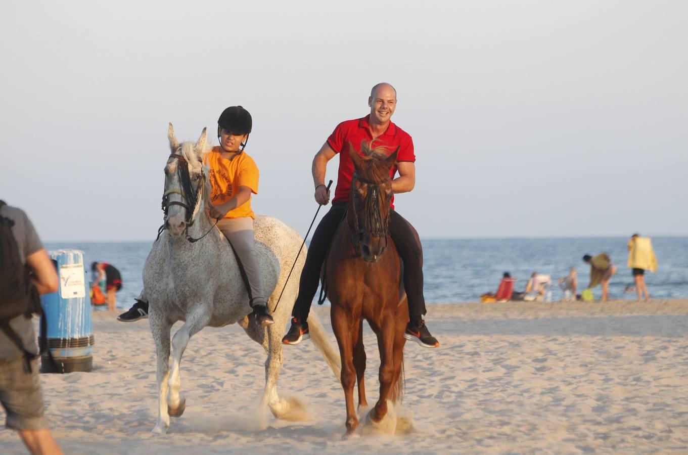 Como cada año desde hace más de dos siglos, este miércoles se celebró la carrera final de uno de los espectáculos con más historia que completan el calendario de fiestas de Pinedo. La exhibición se desarrolló entre las 20 y las 22 horas junto a la playa canina. Este año, la exhibición ha estado compuesta por ocho jinetes de diferentes poblaciones, entre otros Vera Piquer, Empar Zumalde y Pepe Piquer con cuadras de Beniparrell, Albal i El Perellonet. Por segundo año consecutivo, esta fiesta ha sido incorporada a la Feria de Julio, lo que incrementa el ambiente