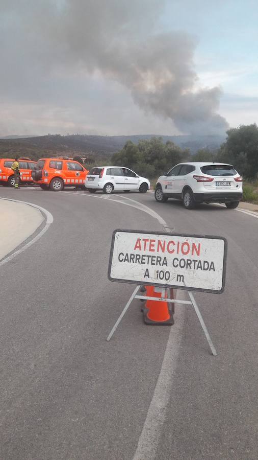 Incendio en Llutxent.