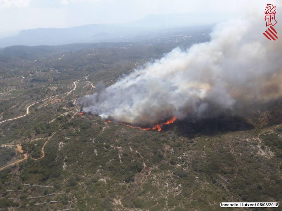 Incendio en Llutxent