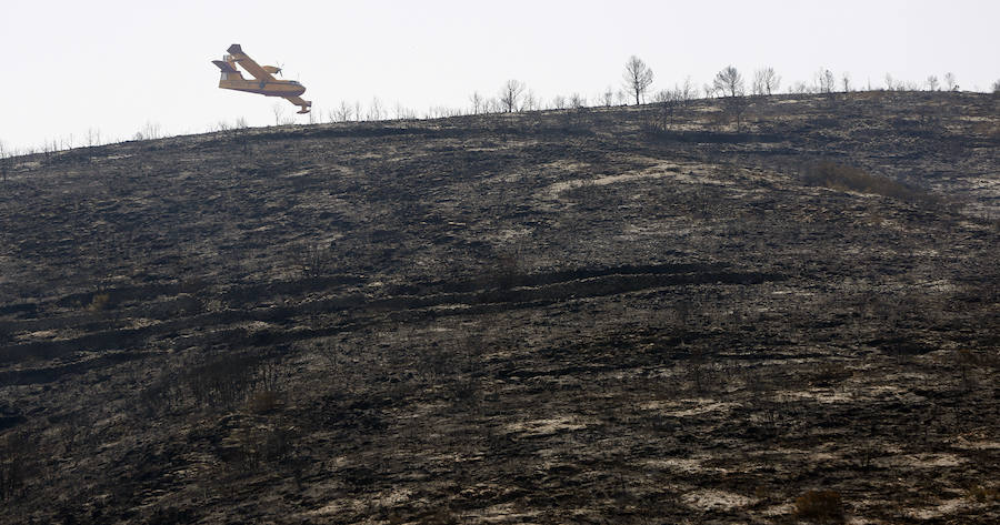 El incendio de Llutxent, activo desde el lunes 6 de agosto, y cuyo origen apunta a un rayo, ya ha arrasado 1.500 hectáreas y obligado a desalojar a 2.500 personas de tres urbanizaciones. Al lugar se han desplazado 600 efs terrestres y 22 medios aéreos para sofocar el fuego, que ya ha dejado las primeras imágenes de las consecuencias de su pasoectivo.