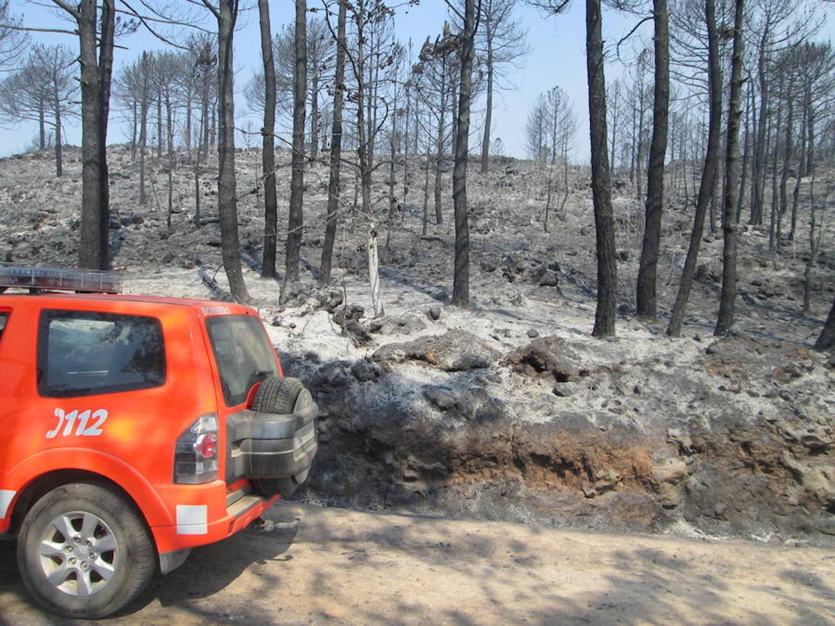 El incendio de Llutxent, activo desde el lunes 6 de agosto, y cuyo origen apunta a un rayo, ya ha arrasado 1.500 hectáreas y obligado a desalojar a 2.500 personas de tres urbanizaciones. Al lugar se han desplazado 600 efectivos terrestres y 22 medios aéreos para sofocar el fuego, que ya ha dejado las primeras imágenes de las consecuencias de su paso.