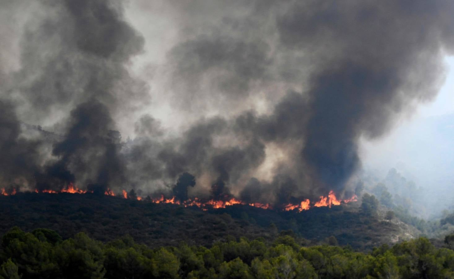 Medios aéreos combaten las llamas de los dos frentes abiertos, en la tarde del martes, en el incencio forestal de Llutxent.