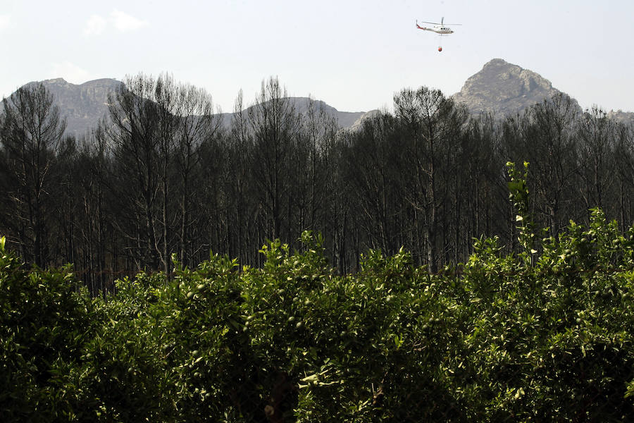 La zona de la Marxuqera (Gandía) calcinada por el incendio 