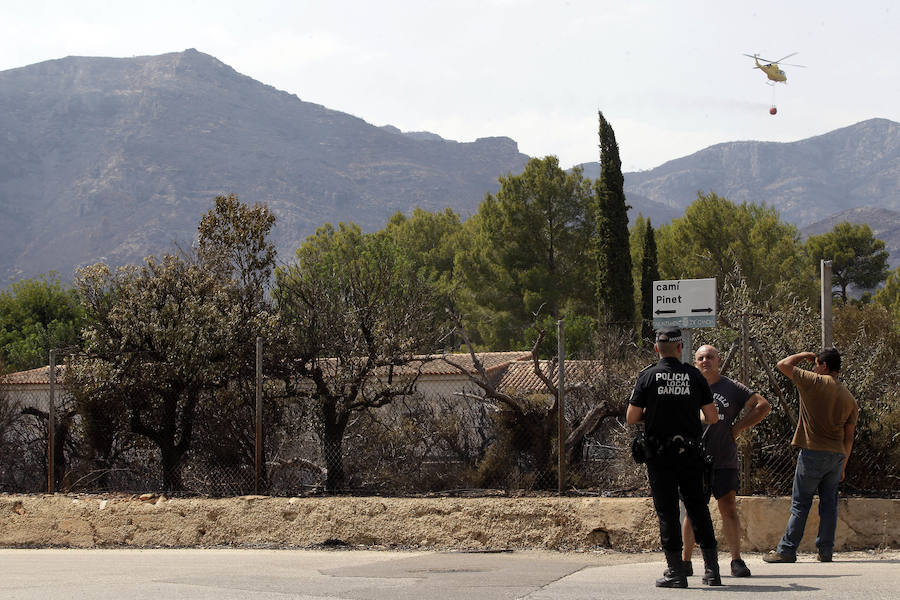 La zona de la Marxuqera (Gandía) calcinada por el incendio 