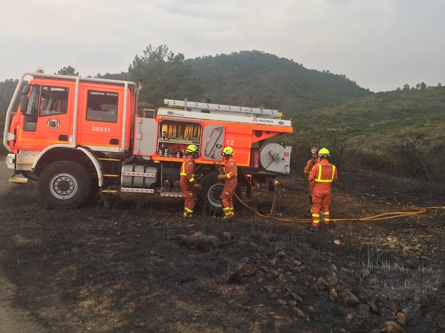 Efectivos del Consorcio Provincial de Bomberos de Valencia refrescando la zona calcinada