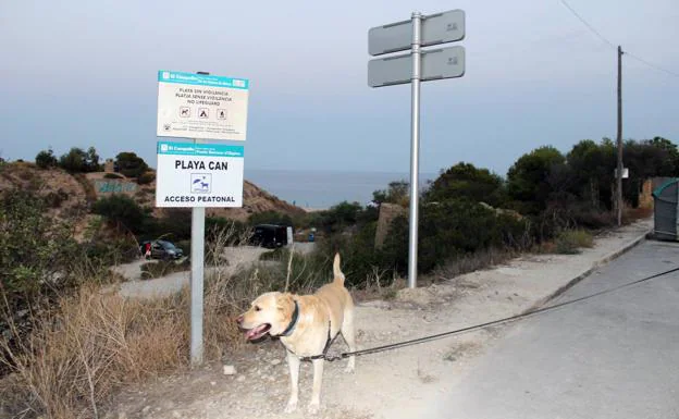 Cala del Barranc d'Aigües