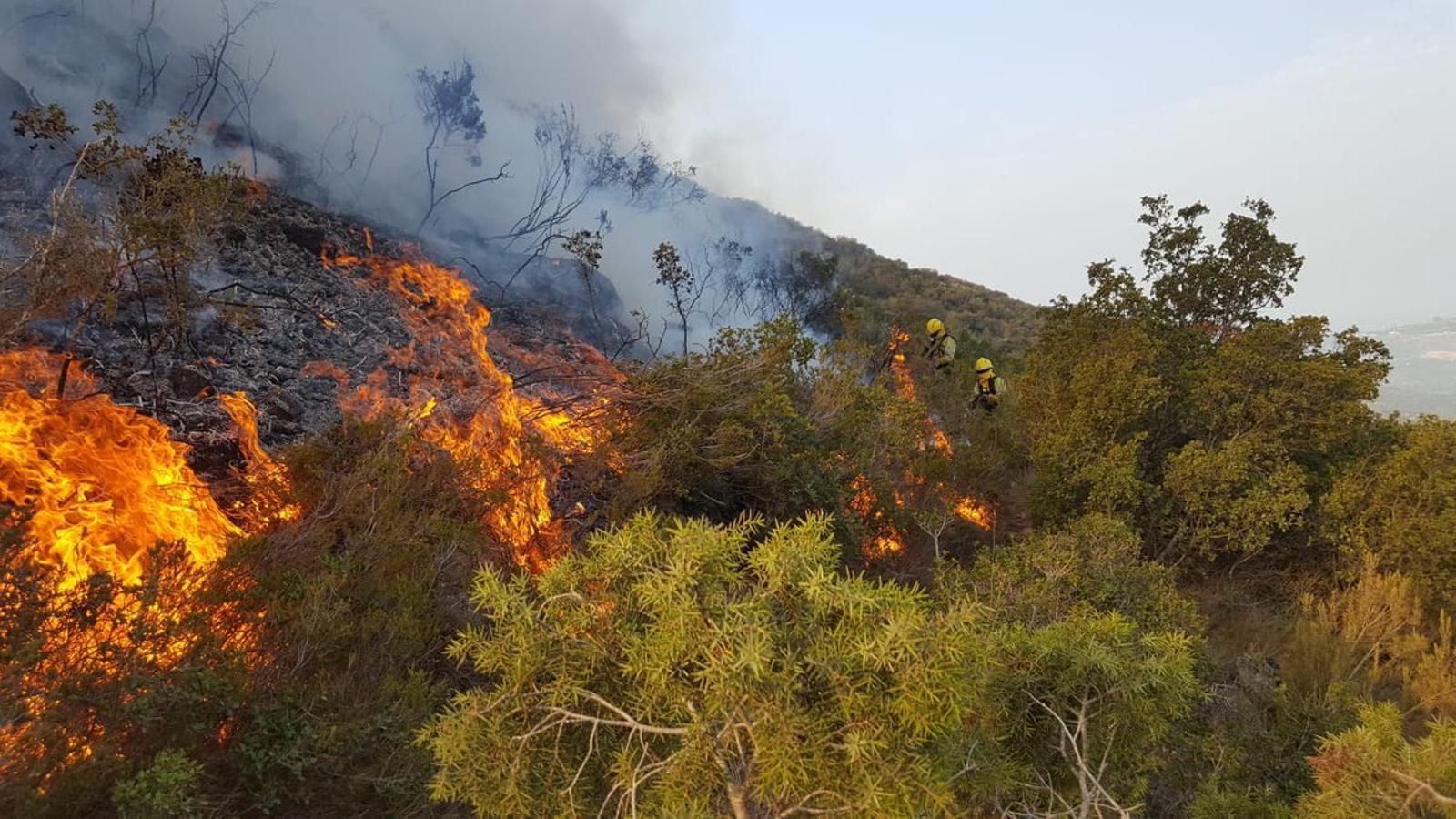 Llamas en el incendio Llutxent.