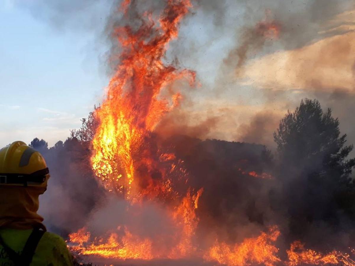 Las llamas del incendio de Llutxent.