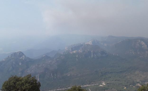 Vista del área incendiada.