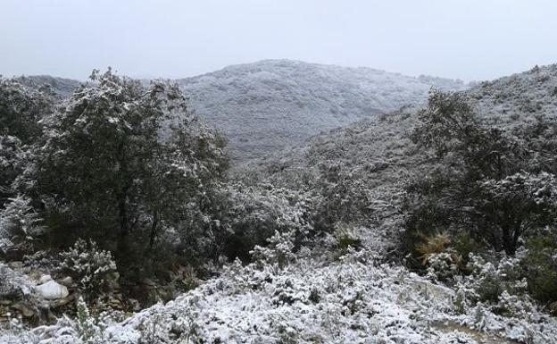 Nevada en El Surar el 31 de enero de 2018.