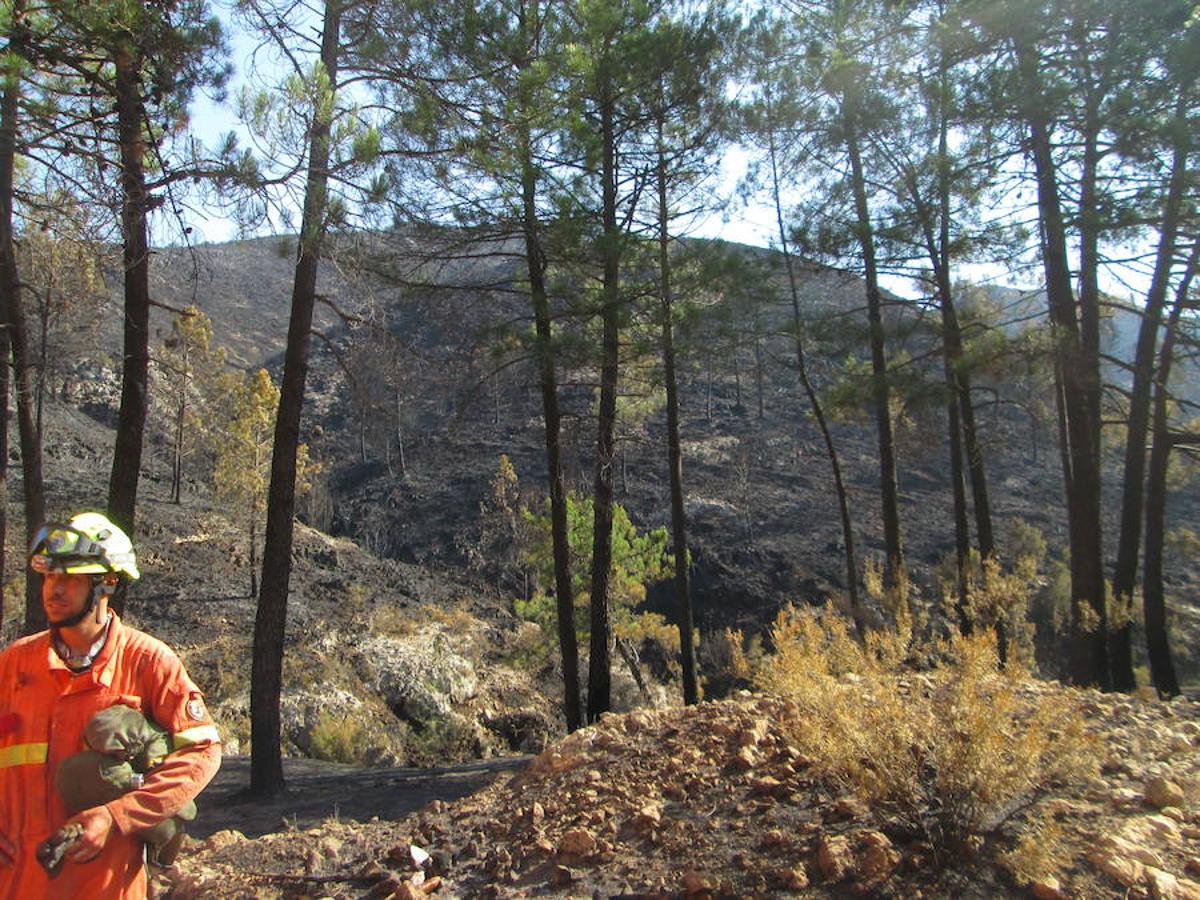 Bomberos en la zona del incendio.