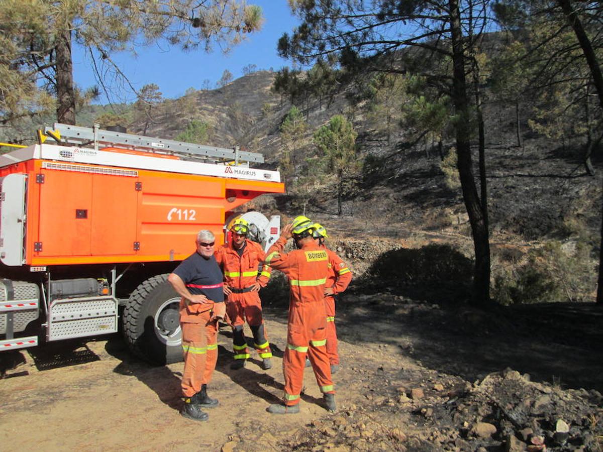 Bomberos en la zona del incendio.