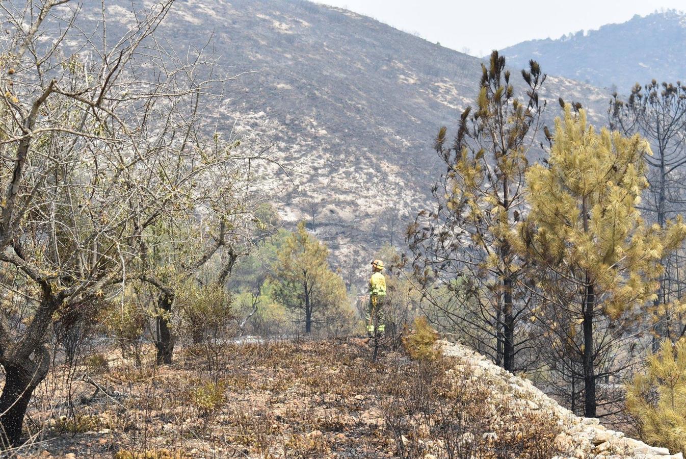 Trabajos de las Brigadas Forestales para la extinción de incendio en Llutxent.