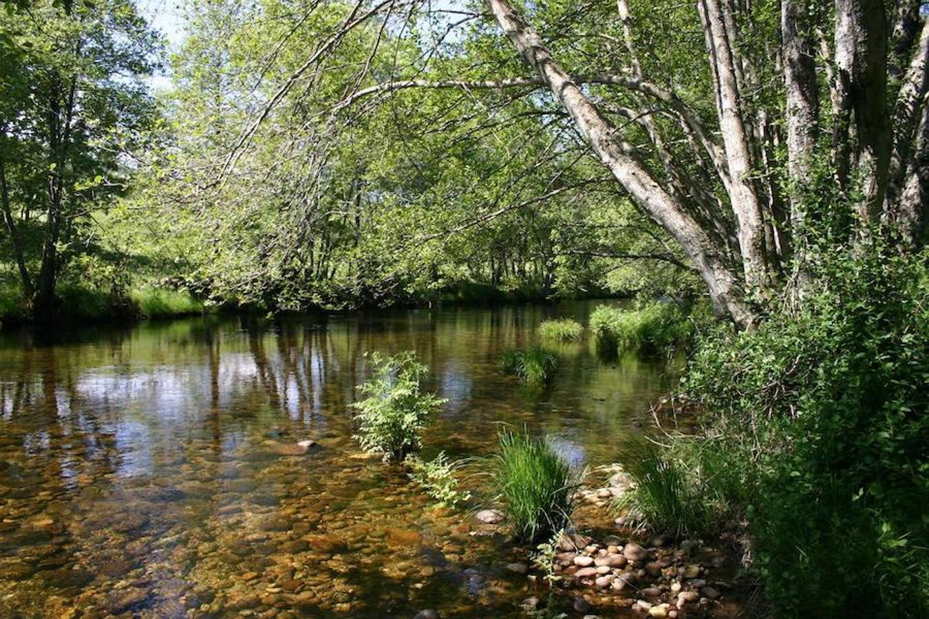 Gredos, Ávila: Una sierra que merece una visita.