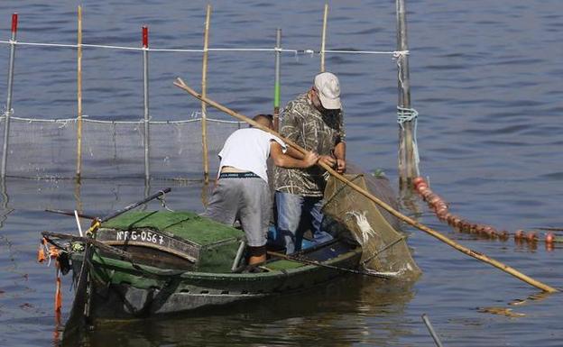 Pescadores en la Albufera. 