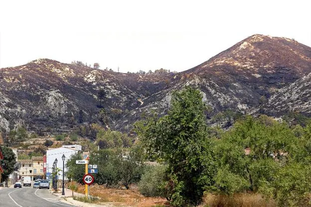 Imagen del paraje El Surar tras el incendio. 