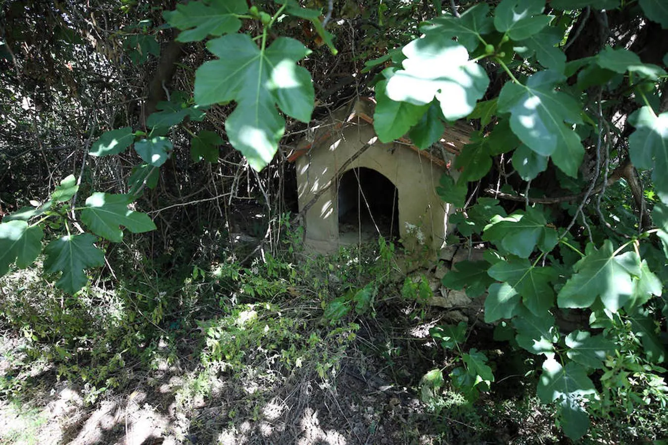 Fotos: La casa abandonada del crimen de los Pantoja