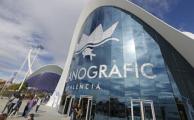 El Oceanogràfic es elegido segundo mejor acuario del mundo