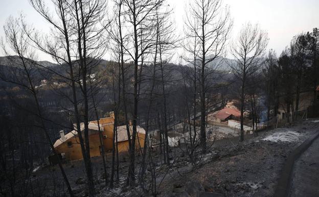 Zona afectada por el incendio de Llutxent.