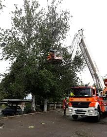 Imagen secundaria 2 - Los bomberos trabjan para retirar los árboles caídos en el hospital de Xàtiva-