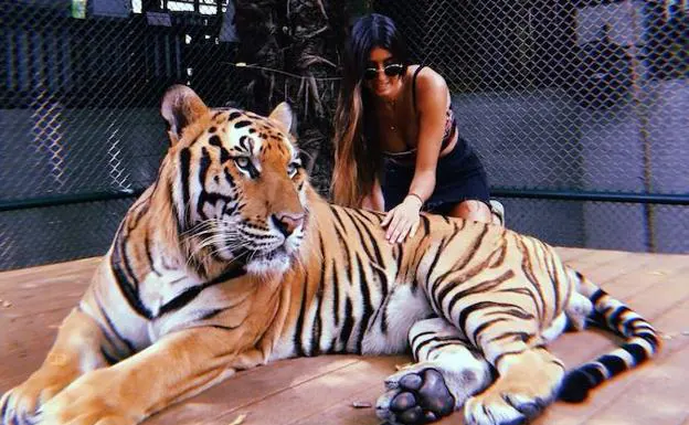 Carlota Segura en la jaula de un tigre en Tailandia 