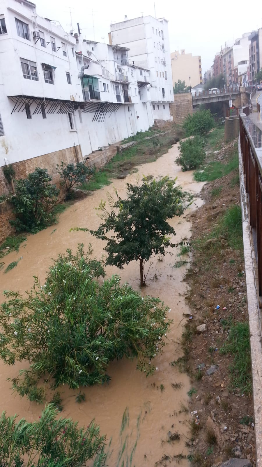 Fuertes lluvias y viento en Cheste.