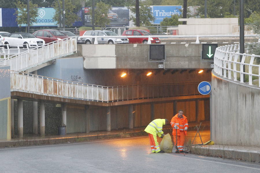 Caídas de árboles y ramas por la tormenta en la ciudad de Valencia.