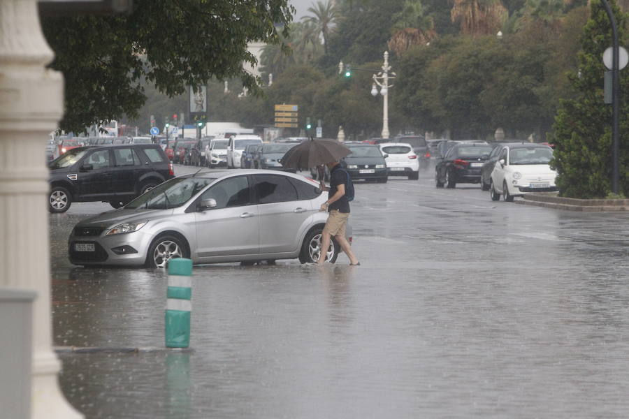 Caídas de árboles y ramas por la tormenta en la ciudad de Valencia.