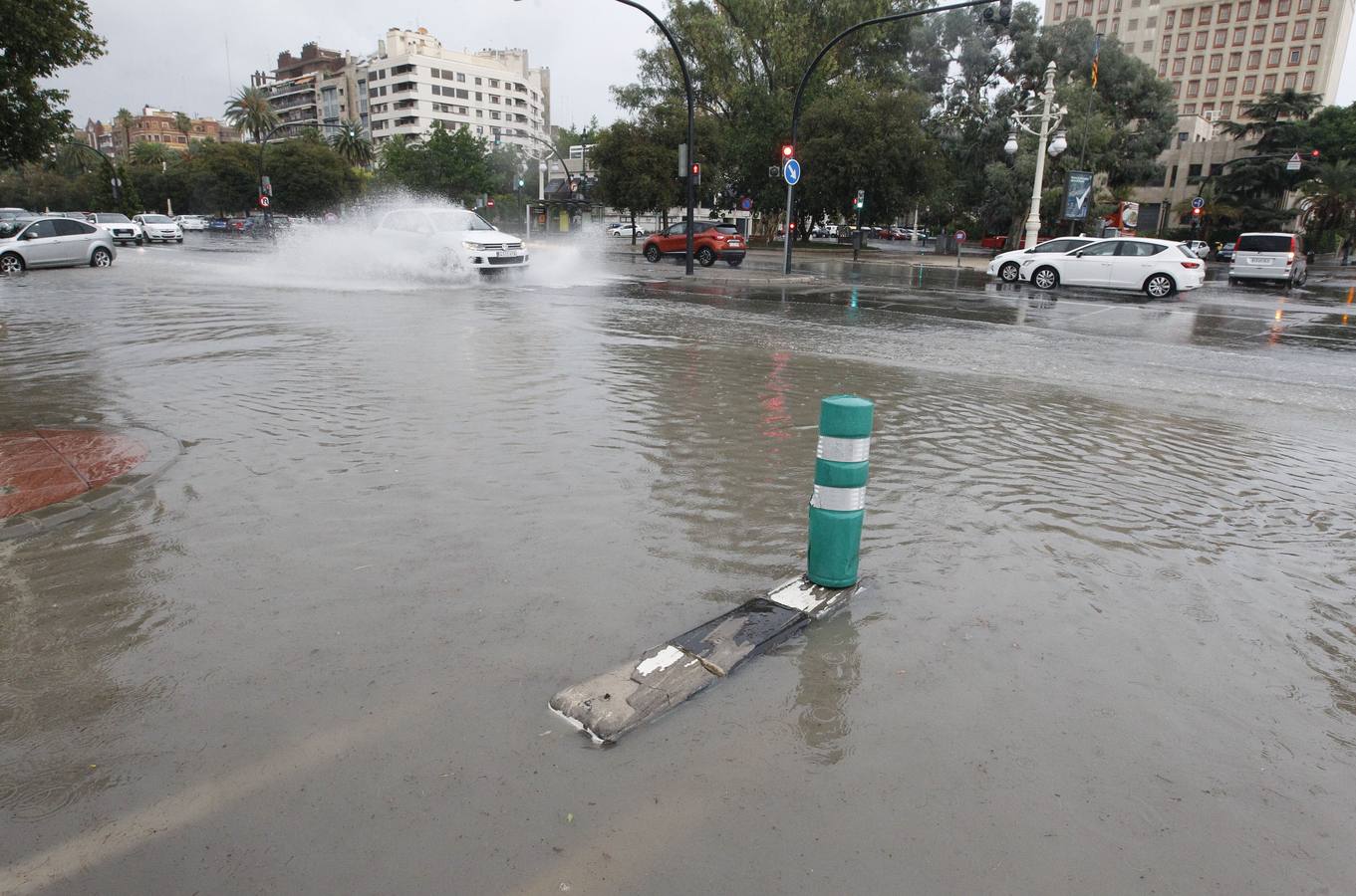 Caídas de árboles y ramas por la tormenta en la ciudad de Valencia.