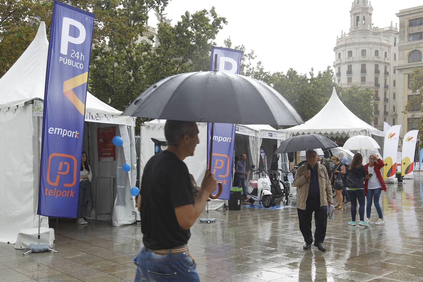 Caídas de árboles y ramas por la tormenta en la ciudad de Valencia.