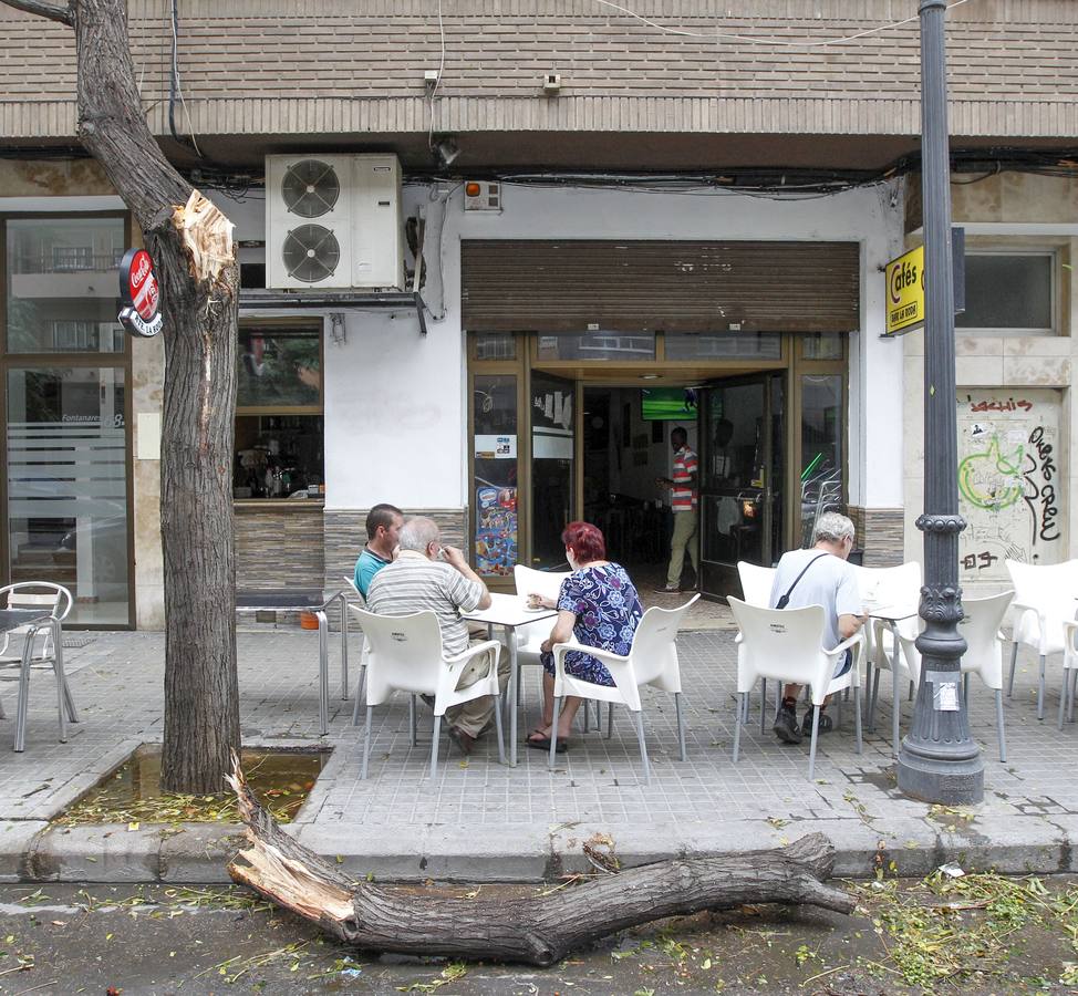 Caídas de árboles y ramas por la tormenta en la ciudad de Valencia.