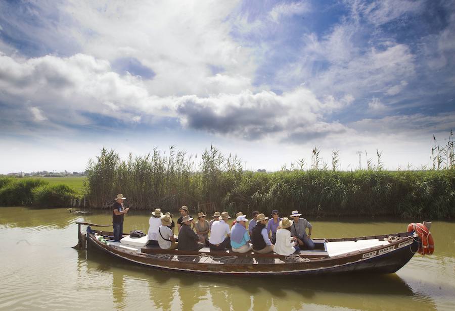 Paseos en barca. A tan solo 10 kilómetros de Valencia se alza el Parque Natural de La Albufera, un ecosistema mediterráneo único que aúna playas salvajes de dunas, con arrozales, bosques y un precioso lago que puede navegarse en barca. En 40-50 minutos y subidos en las "albuferencs", las barcas tradicionales del lugar, el patrón local de la embarcación explica de forma minuciosa la diversidad de flora y fauna que encontramos en la laguna de La Albufera. Una de las experiencias más impactantes es realizar este recorrido en barca cuando cae el sol. El cielo teñido de diferentes colores se refleja en las aguas y una sensación de paz y tranquilidad envuelve el ambiente. Los paseos se realizan a lo largo del todo el día hasta la puesta de sol, sin horarios determinados y sin necesidad de reserva previa. 