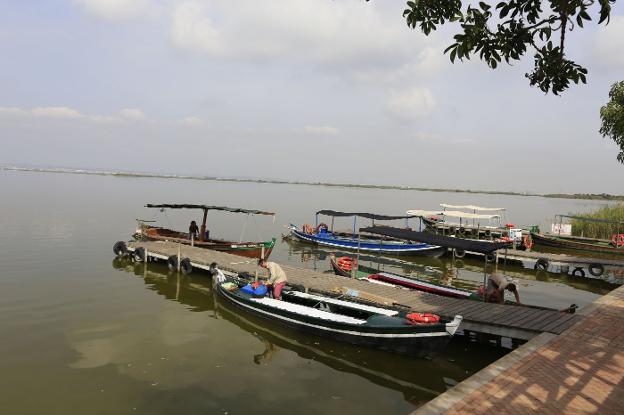 Barcas amarradas en la Albufera. 