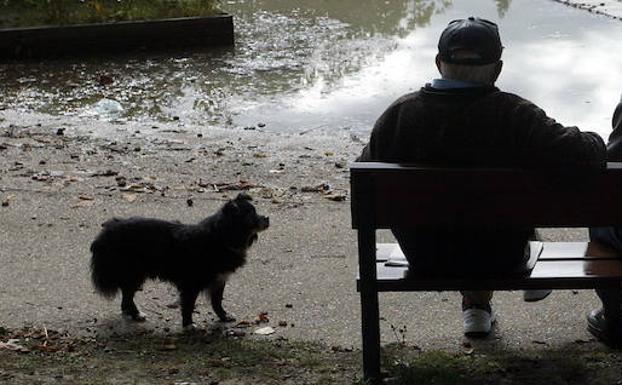 Un anciano pasa las horas en un parque
