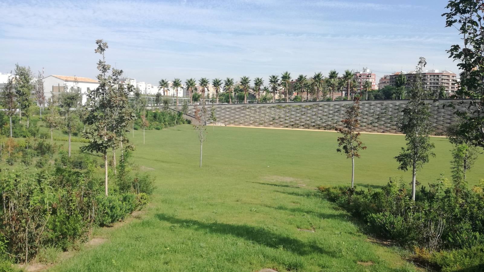 El Parque Central de Valencia comienza a ser una realidad. El avance de las obras ya permite ver cómo será uno de los pulmones de la ciudad y otro punto de encuentro para el deporte y el ocio.