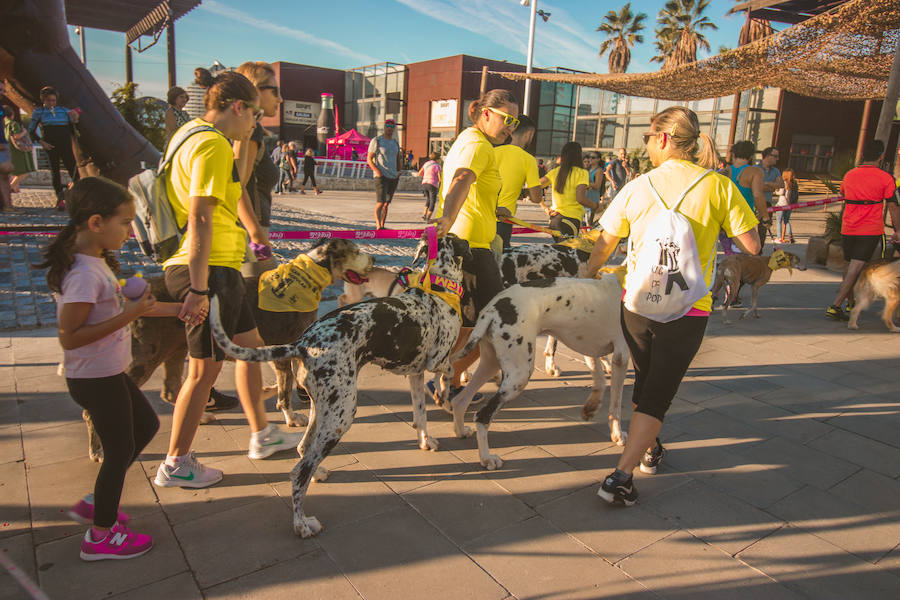 Fotos: Cancarrera Bioparc 2018