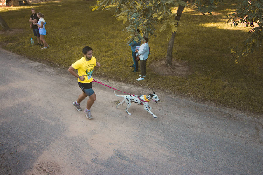 Fotos: Cancarrera Bioparc 2018