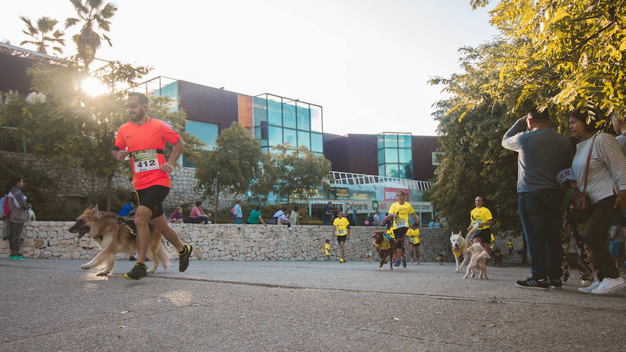 Fotos: Cancarrera Bioparc 2018