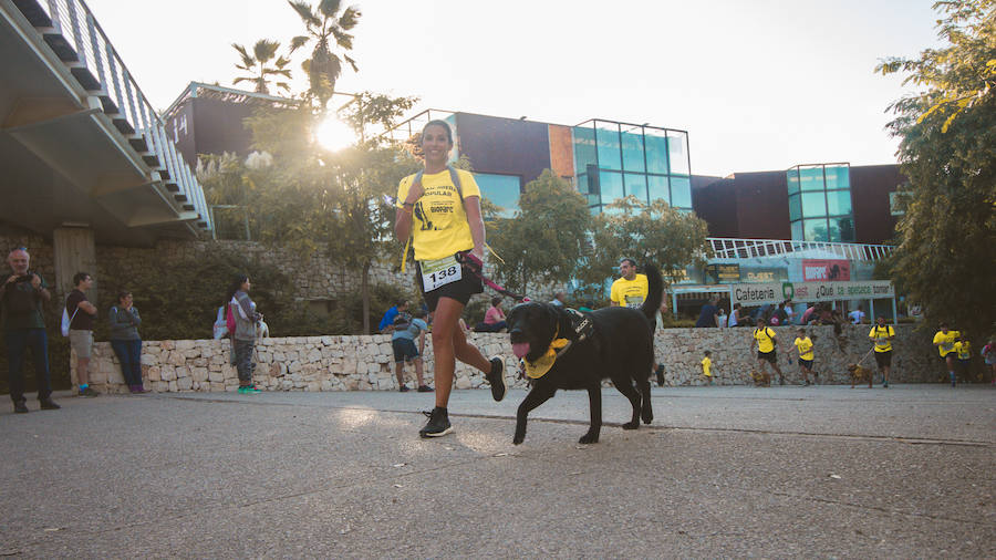 Fotos: Cancarrera Bioparc 2018