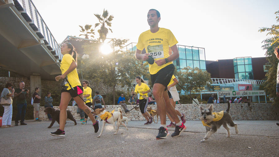 Fotos: Cancarrera Bioparc 2018