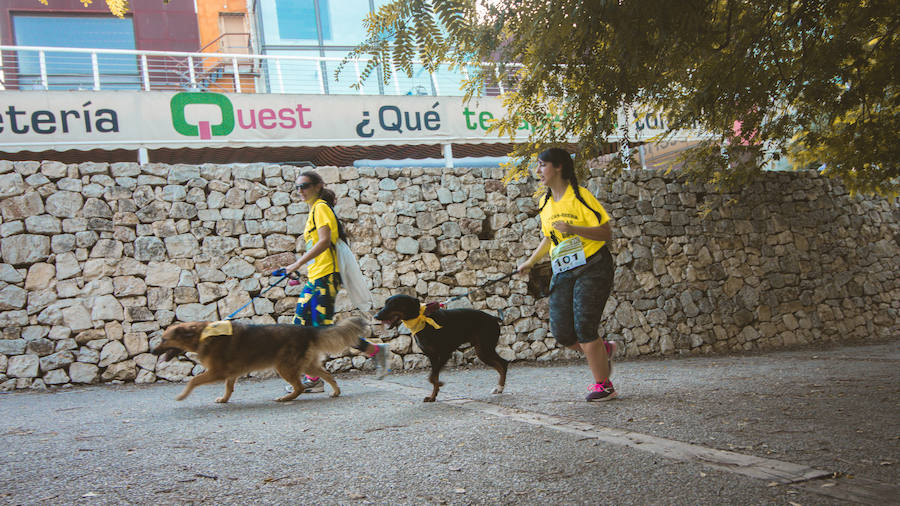 Fotos: Cancarrera Bioparc 2018