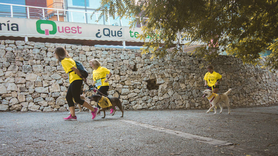 Fotos: Cancarrera Bioparc 2018