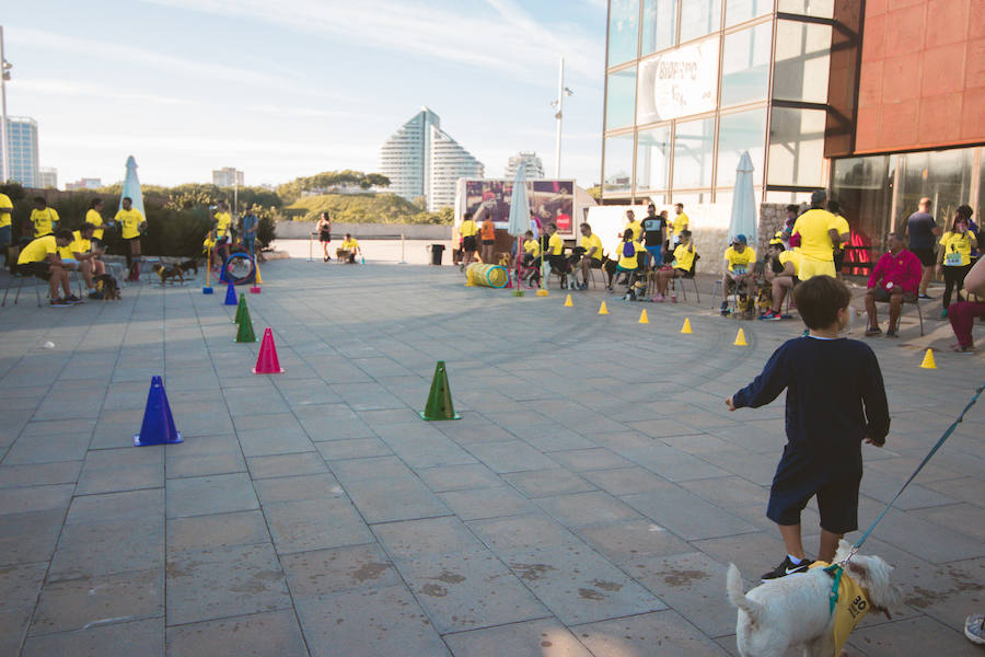 Fotos: Cancarrera Bioparc 2018