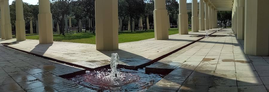 Fotos: El rescate del cauce junto al Palau de la Música se completa