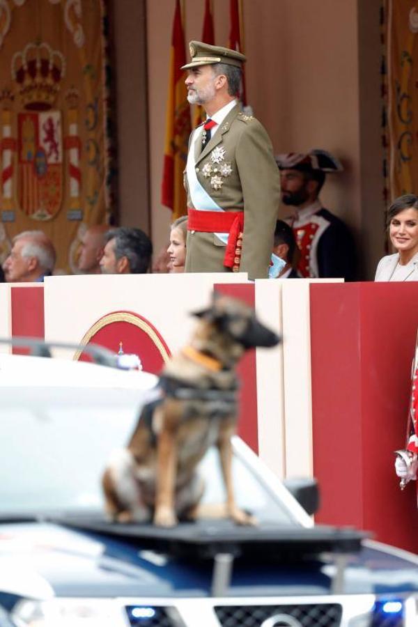 os Reyes han presidido este viernes el desfile del Día de la Fiesta Nacional, que ha llevado al centro de Madrid a casi 4.000 militares de los dos Ejércitos y la Armada, 88 aeronaves y 152 vehículos, acompañados de efectivos de la Guardia Civil, la Policía Nacional, Protección Civil y Salvamento Marítimo. Es el primer 12 de octubre del Gobierno de Pedro Sánchez y también el primero de Pablo Casado como líder del PP.