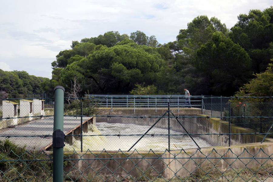 El Ayuntamiento de Valencia llegó a temer espectacular aumento del nivel de la Albufera. Hubo que abrir las compuertas y activar las bombas de achique para controlar el ascenso del nivel del lago.