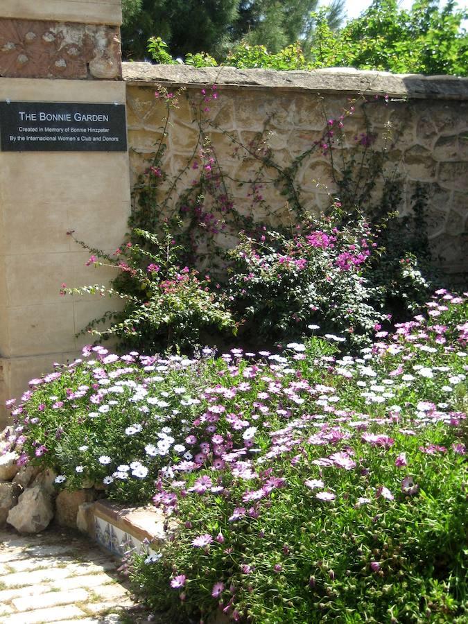 Frente al Cementerio Municipal de Valencia, lo que parece un jardín es, en realidad, otro cementerio que guarda parte del relato de la ciudad. El Cementerio Británico de Valencia se prepara para abrir sus puertas los días 28 de octubre y 1 de noviembre. Son las dos únicas fechas en las que sus instalaciones son visitables por falta de recursos. Por esta razón, un equipo ha estado trabajando para que esté todo listo. Se trata de un lugar de 150 años que al no ser un espacio municipal, está cuidado por voluntarios que quieren preservar cada una de las historias que allí residen. 